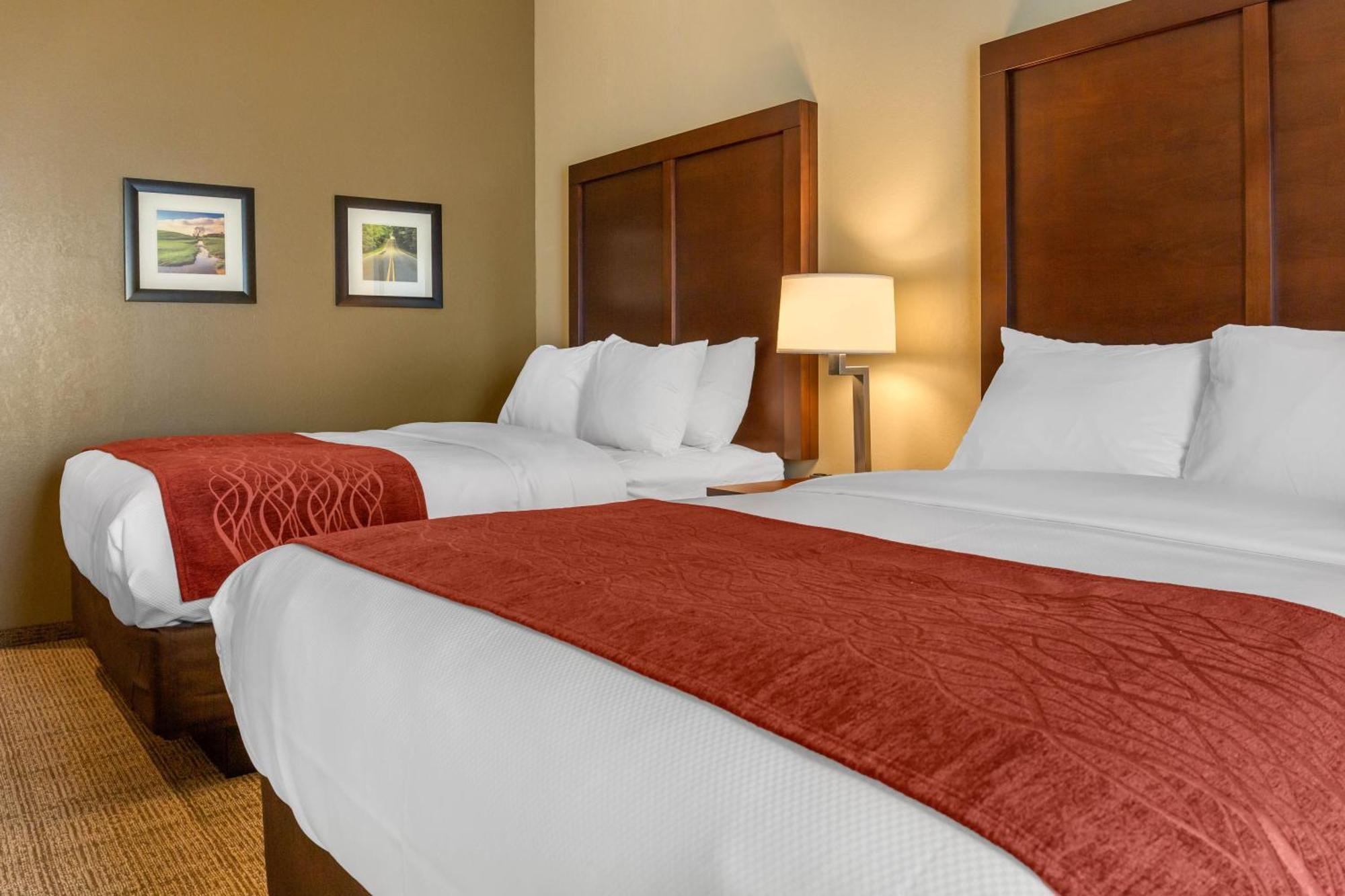 Comfort Inn & Suites Gap Amish Country מראה חיצוני תמונה