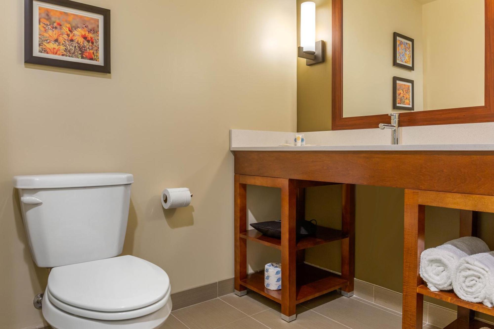 Comfort Inn & Suites Gap Amish Country מראה חיצוני תמונה