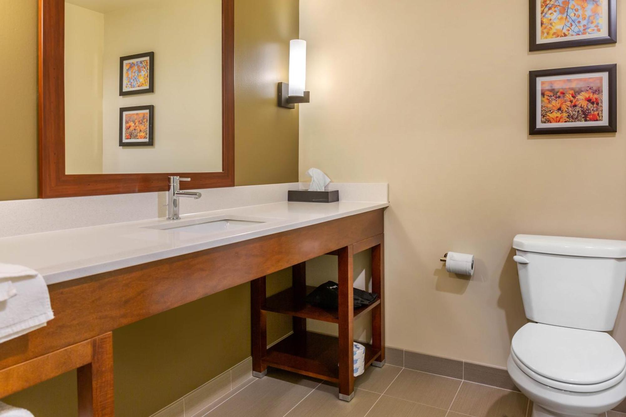 Comfort Inn & Suites Gap Amish Country מראה חיצוני תמונה